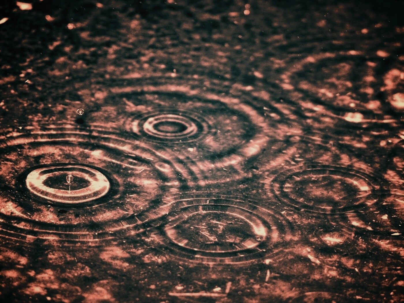 Круги на воде обои