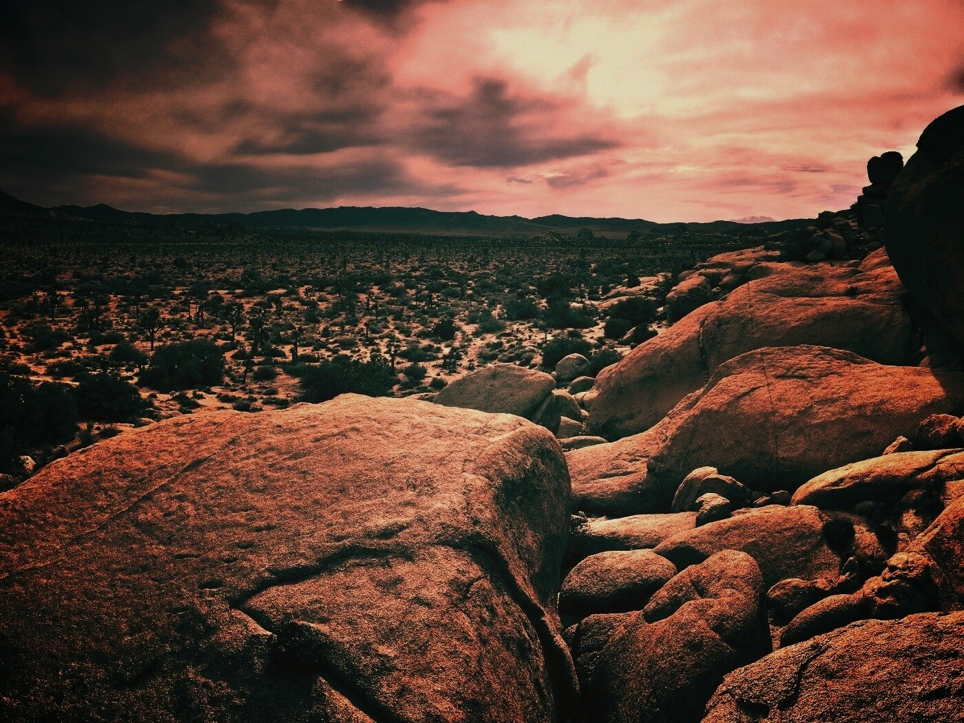 Пустыня Мохаве обои