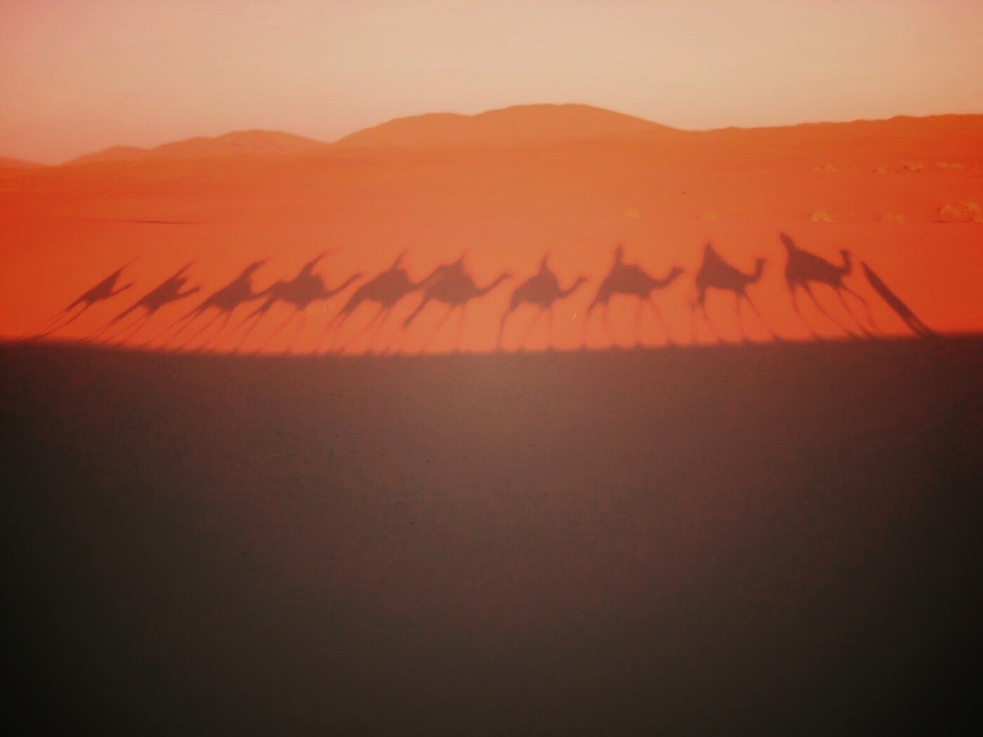 Караван обои