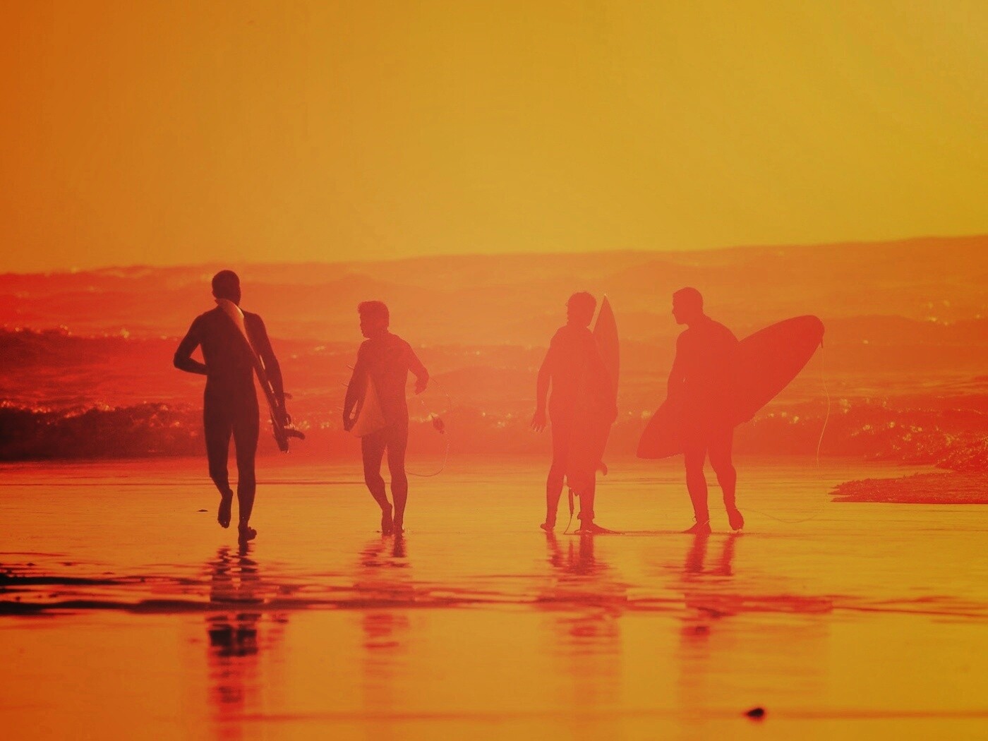 Серфингисты обои