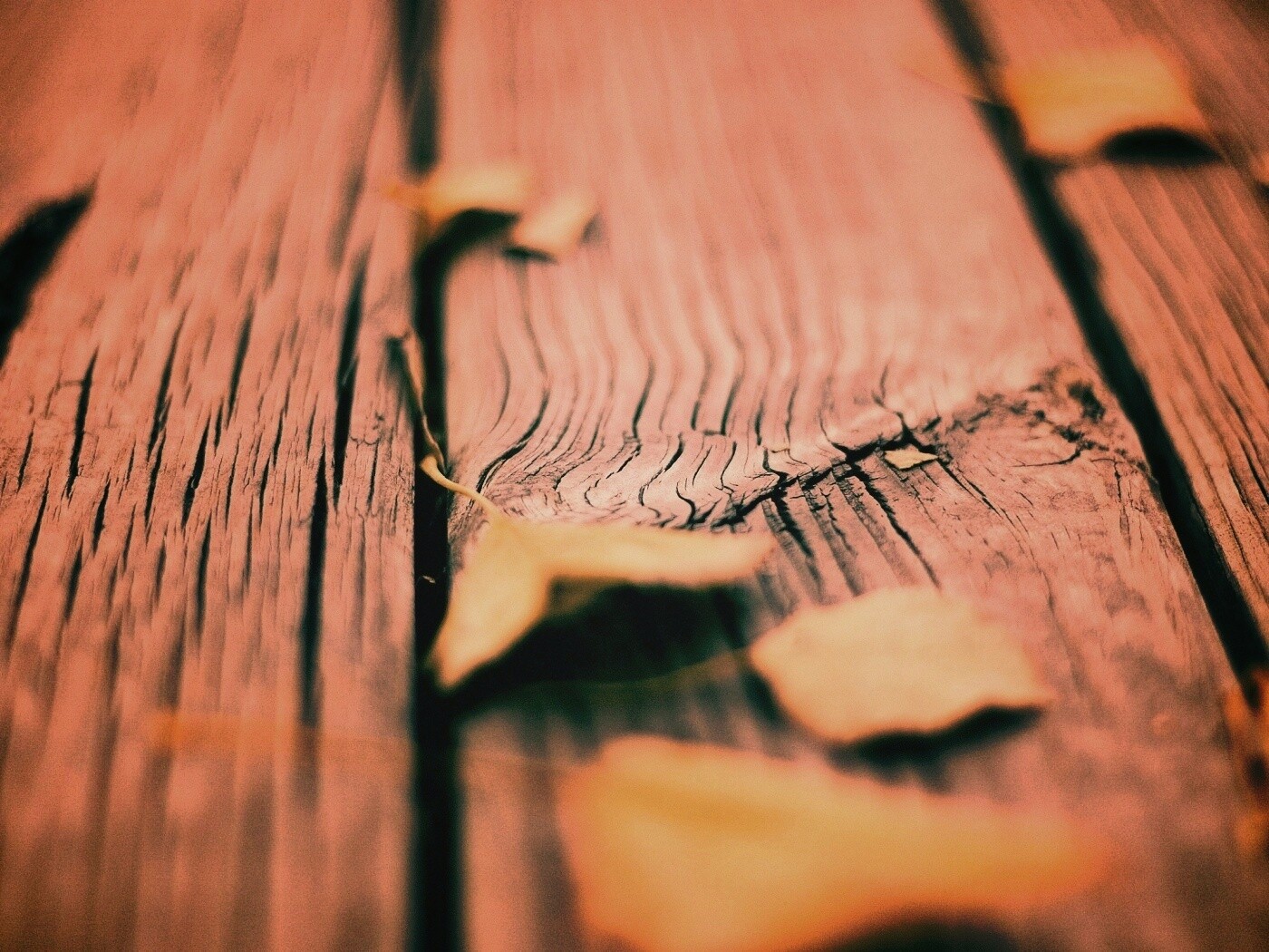 Листья на дощатом полу обои