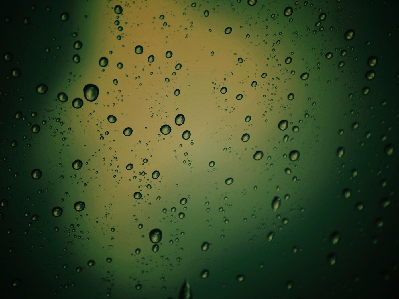 Обои капель дождя на стекле обои