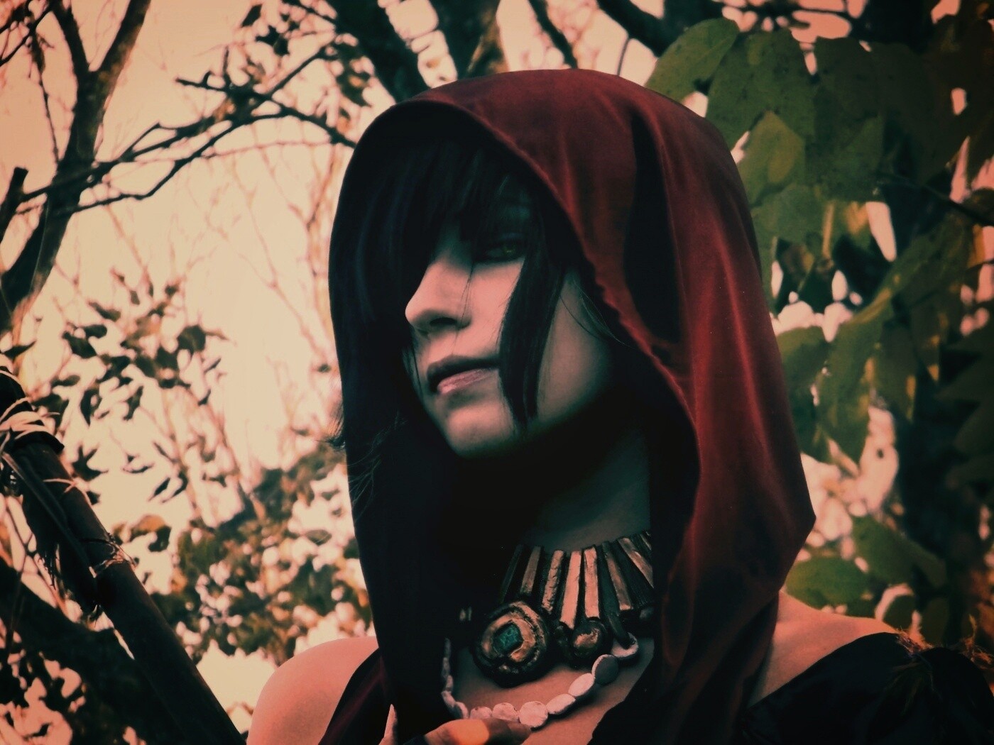 Косплей Морриган обои