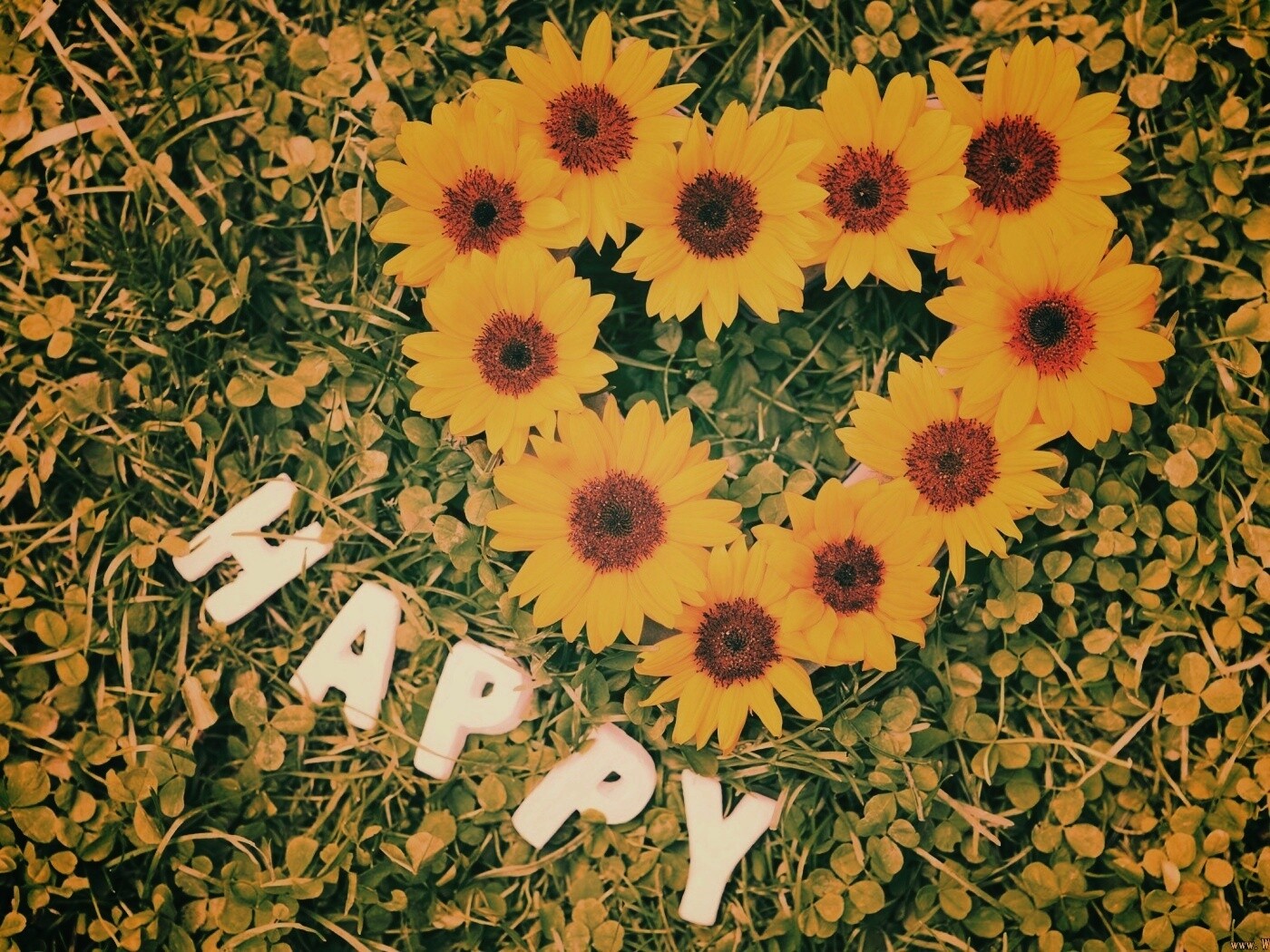 Радость обои