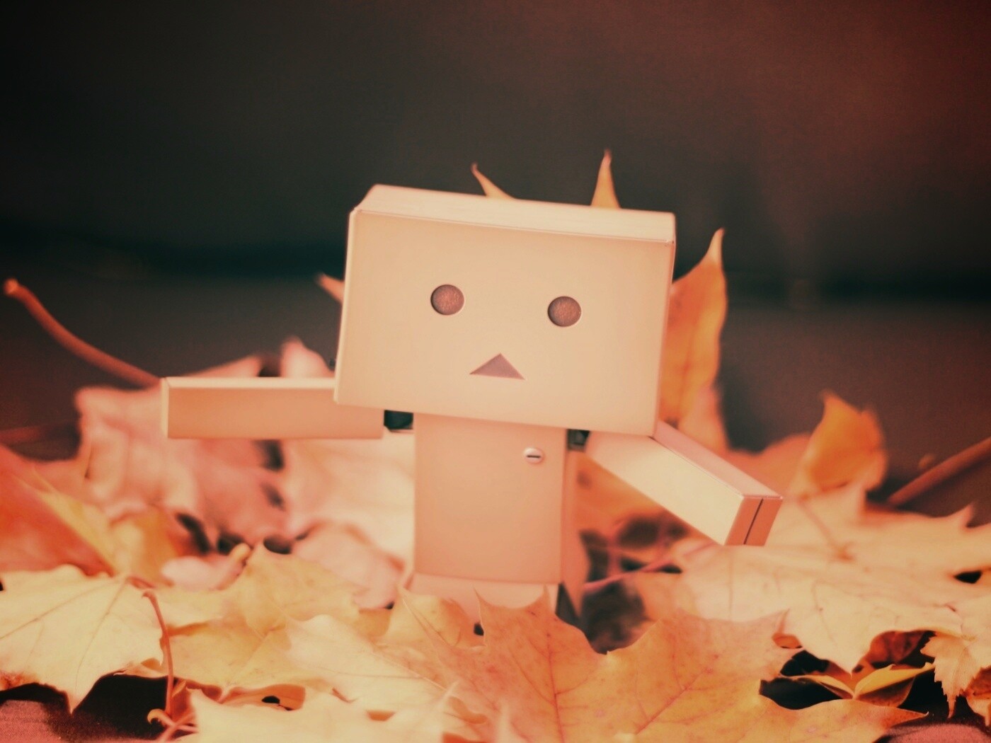  Yotsubato Danbo резвится листьях обои