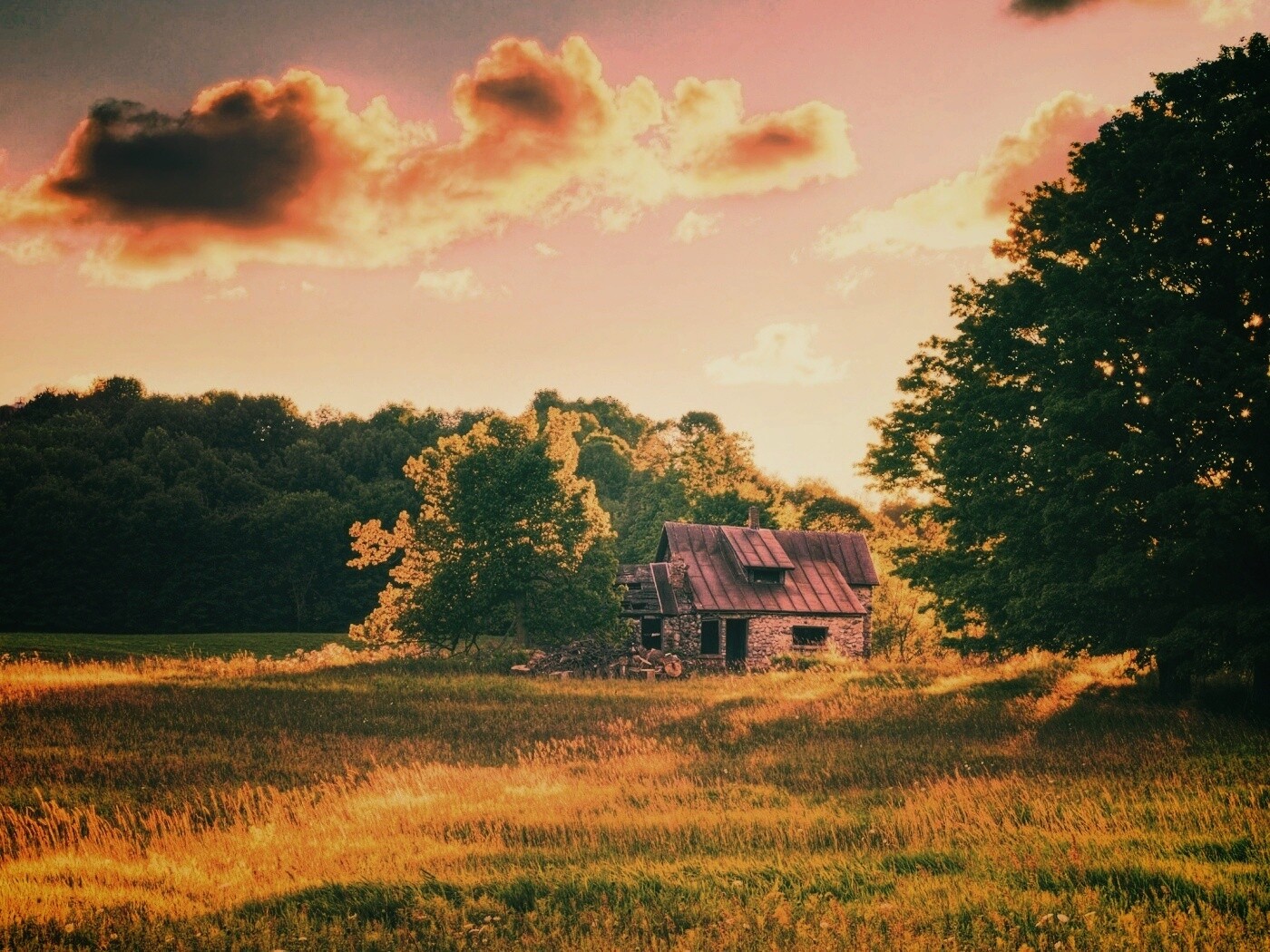 Домик в лесу обои