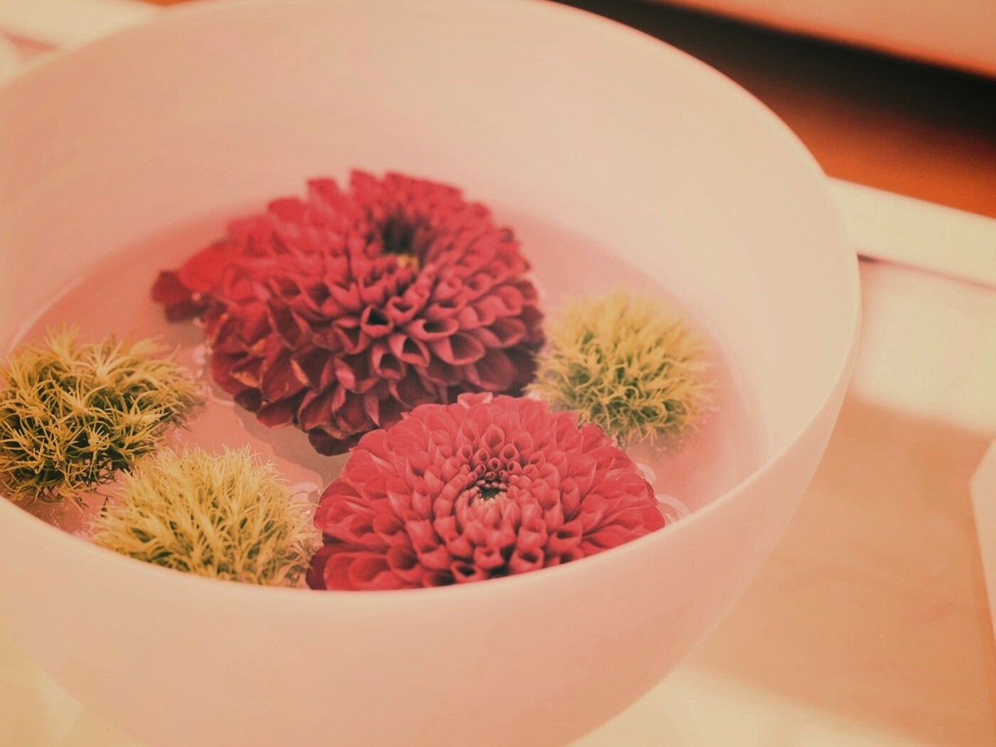 Чаша с цветами обои