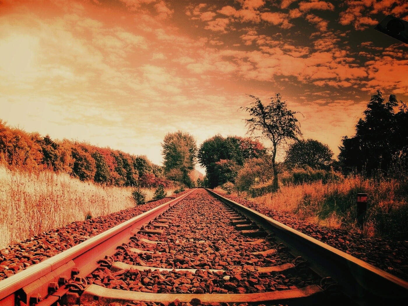 Уходящие в даль рельсы обои