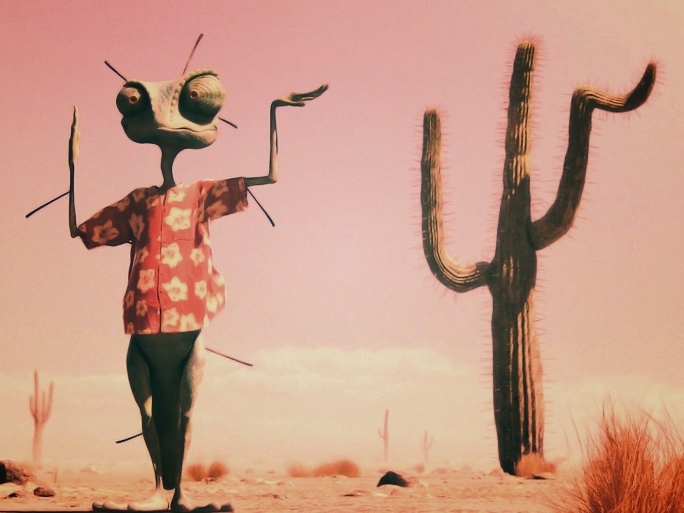 Ранго и кактус обои