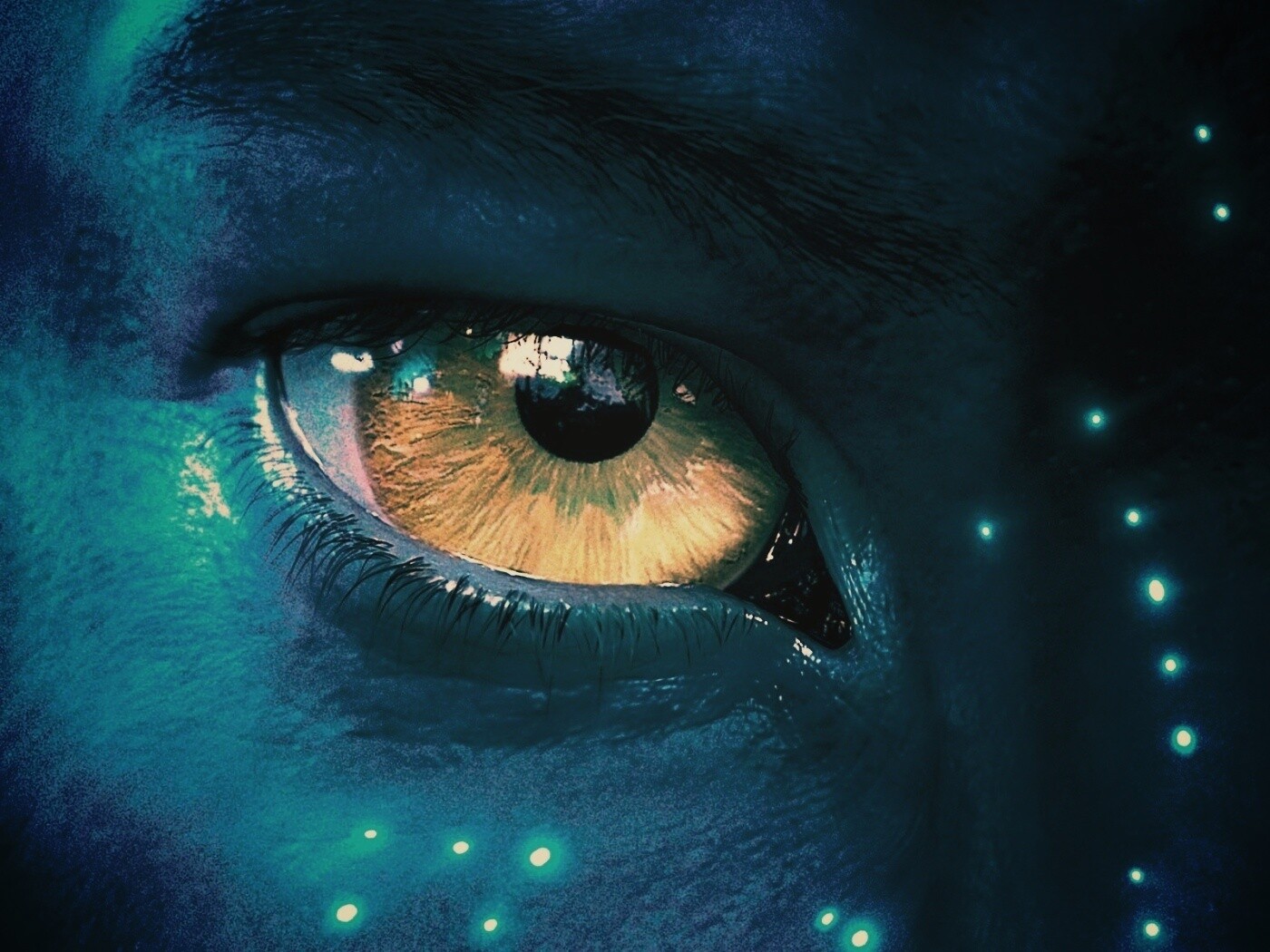 Смотрит прямо в душу обои