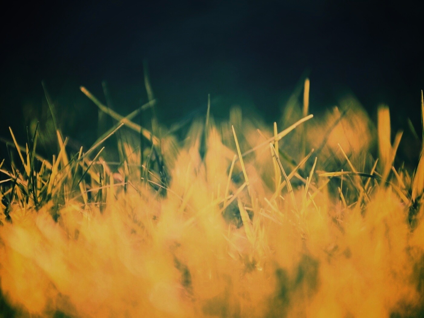 Играя солнечным светом обои