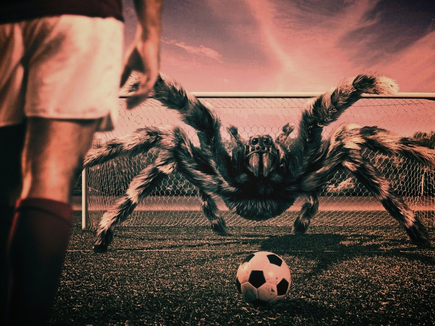 Вратарь обои