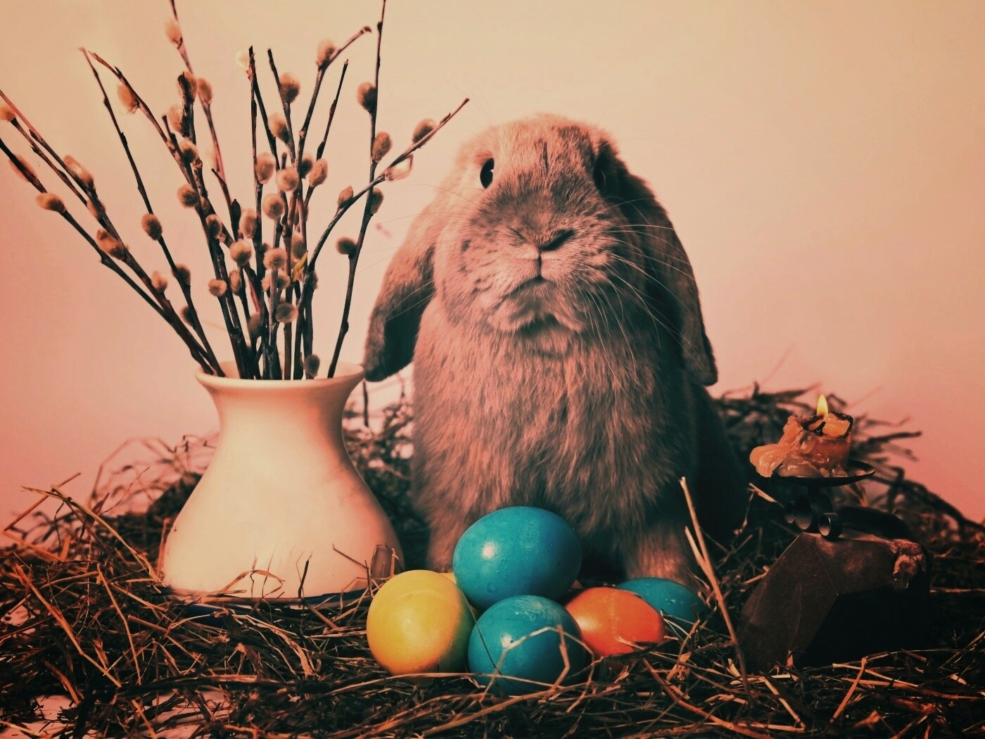 Пасхальный кролик обои