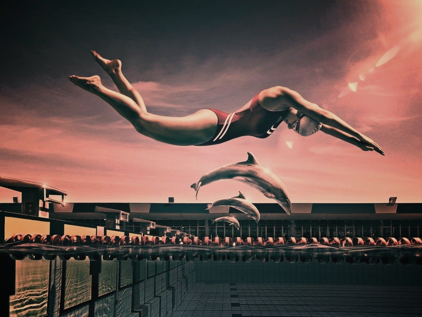 Соревнование обои