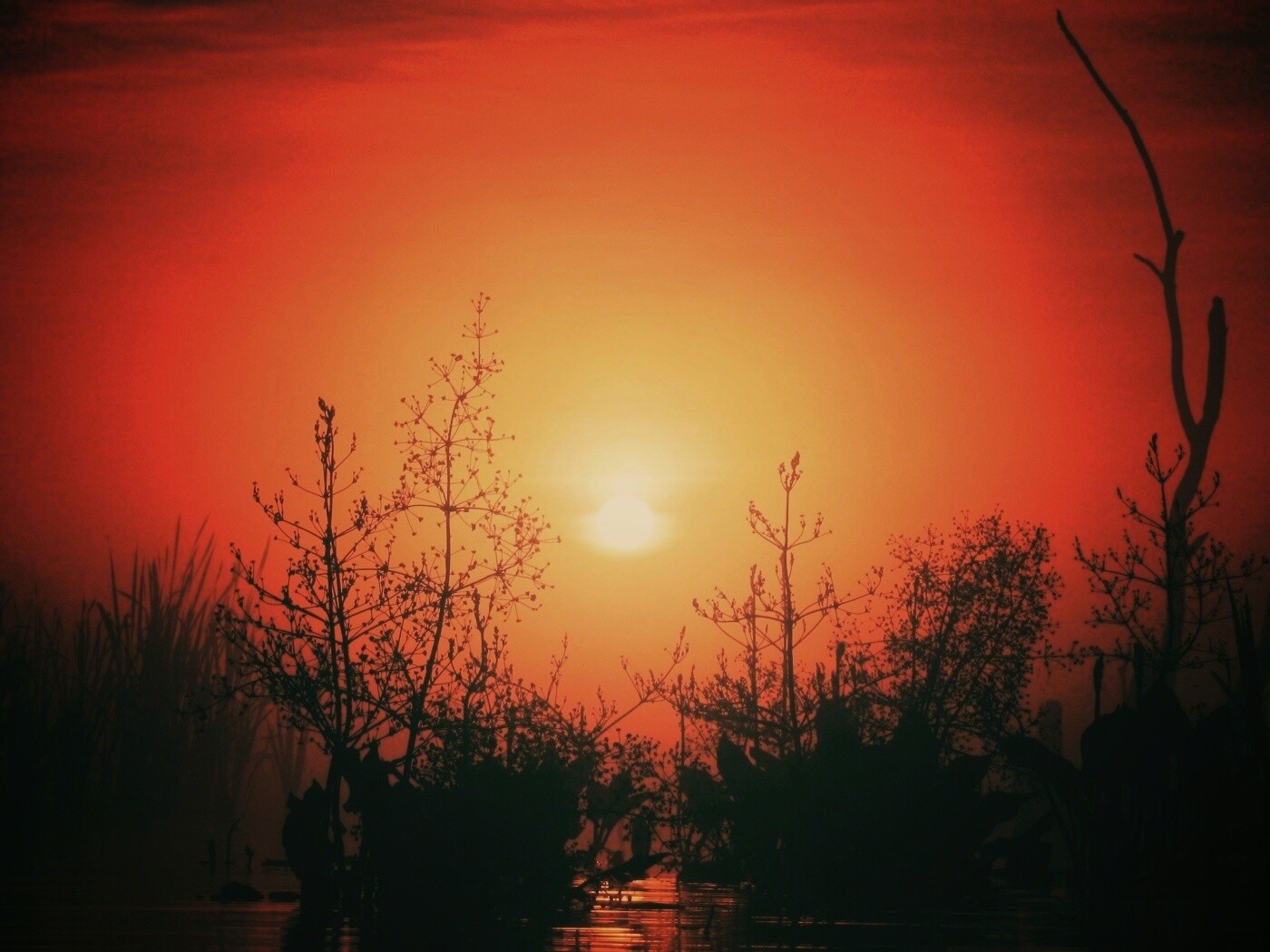 Доисторическое утро обои