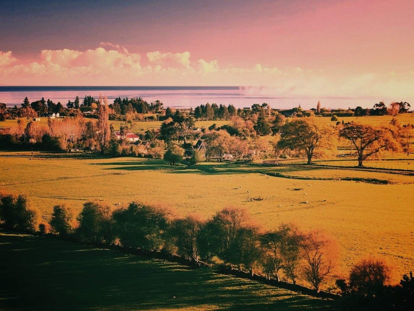 Сельская природа обои