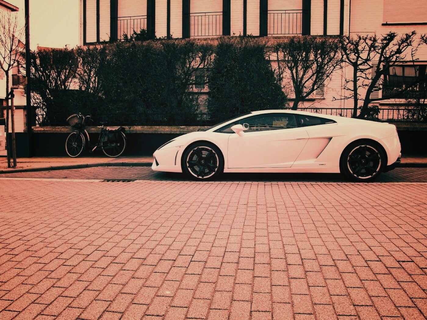 Белый Lamborghini обои