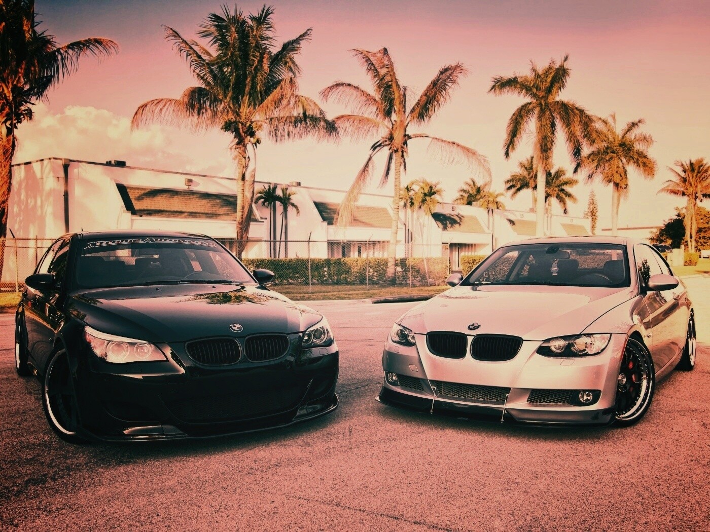 Две БМВ обои
