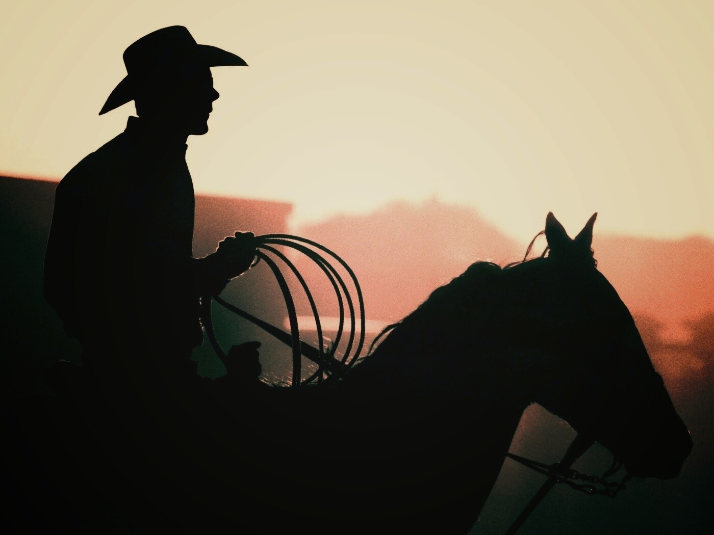 Ковбой с лассо на коне обои