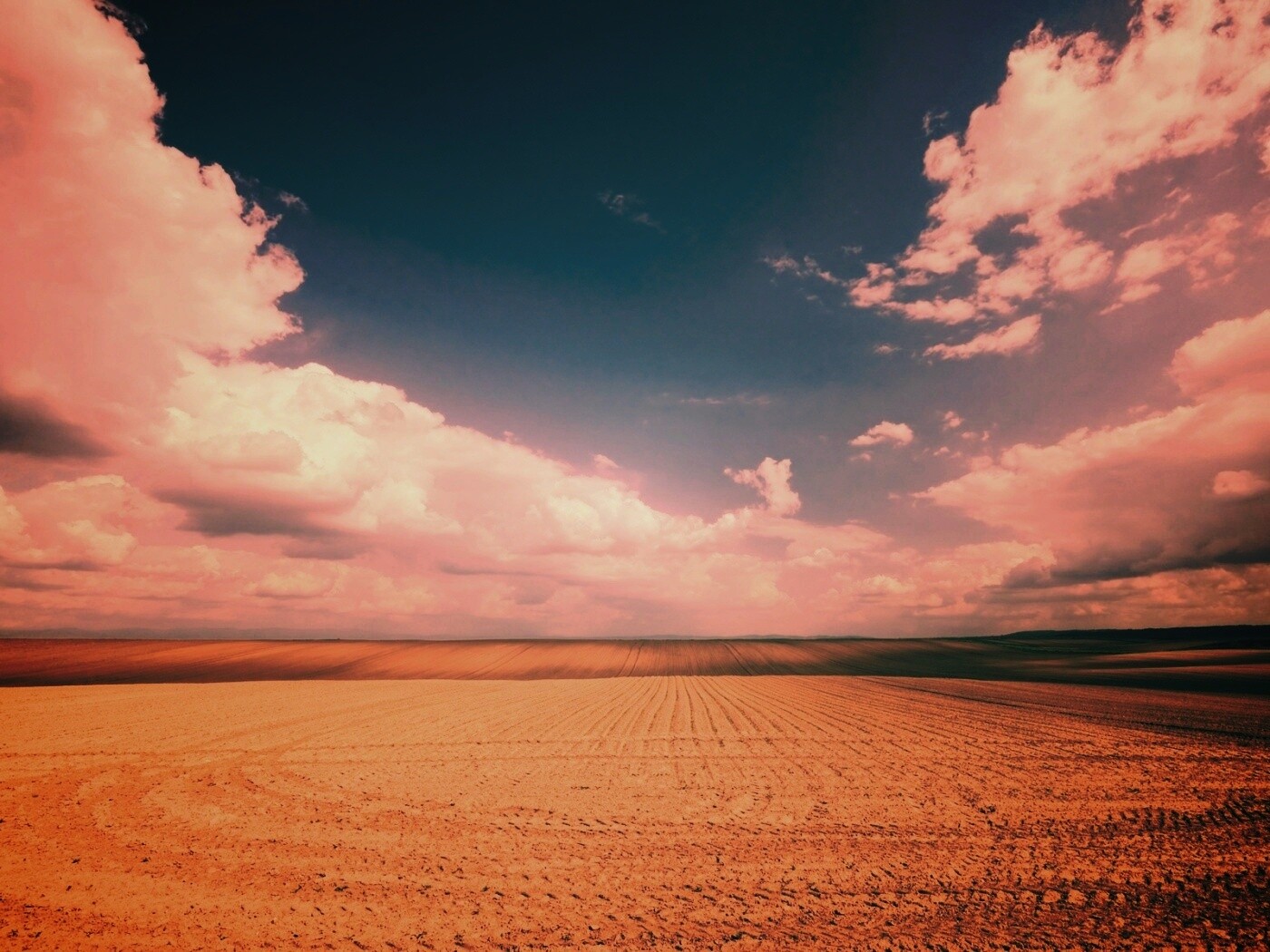 Незасеянное поле обои