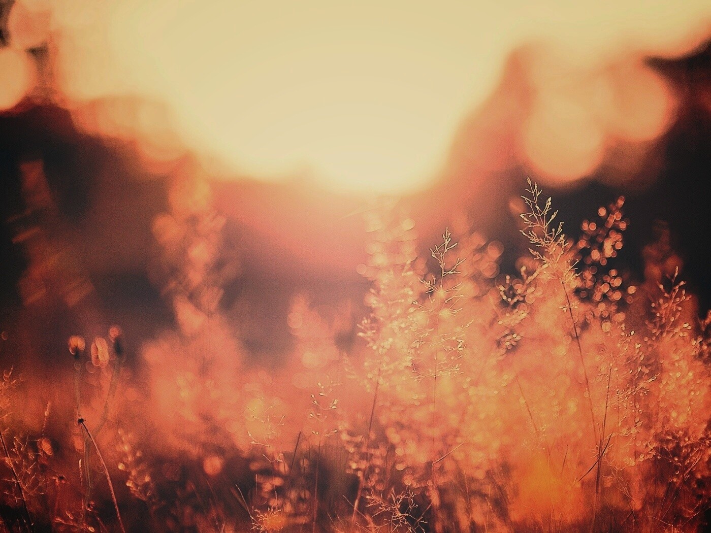 Посмотри на этот мир обои