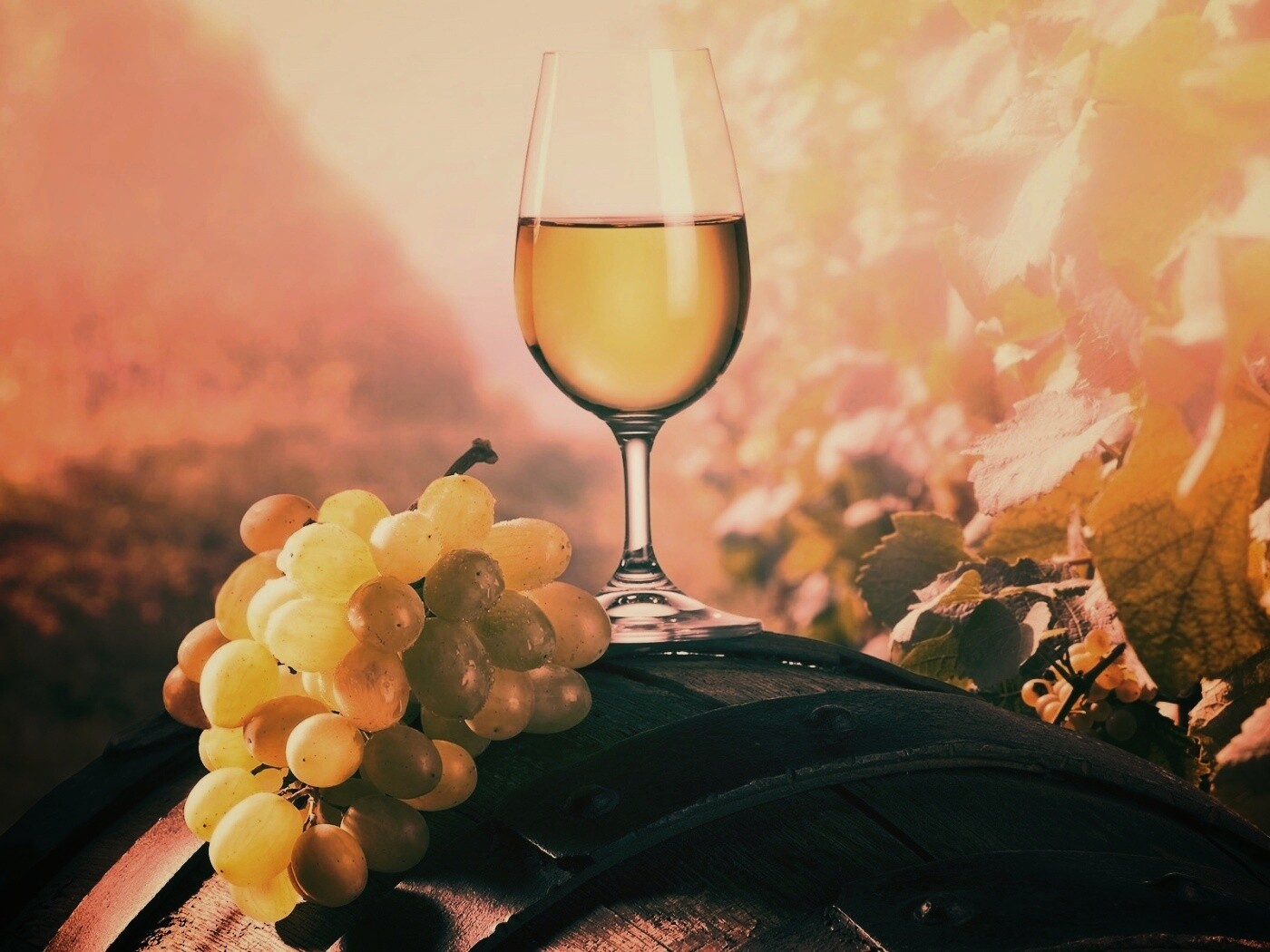 Винная бочка и бокал с белым вином обои