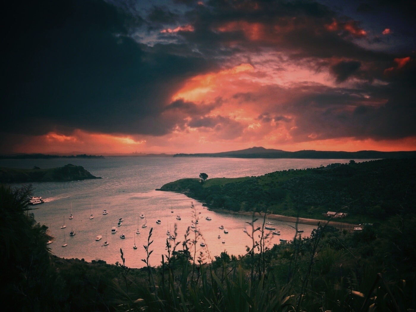 Waiheke Island, New Zealand обои