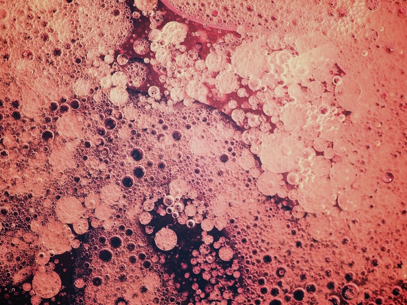 Реакция Вассермана в фиолетовых тонах обои