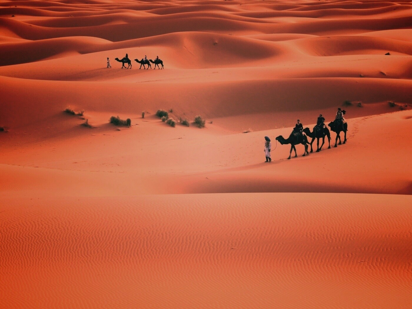 Караваны пустыни обои