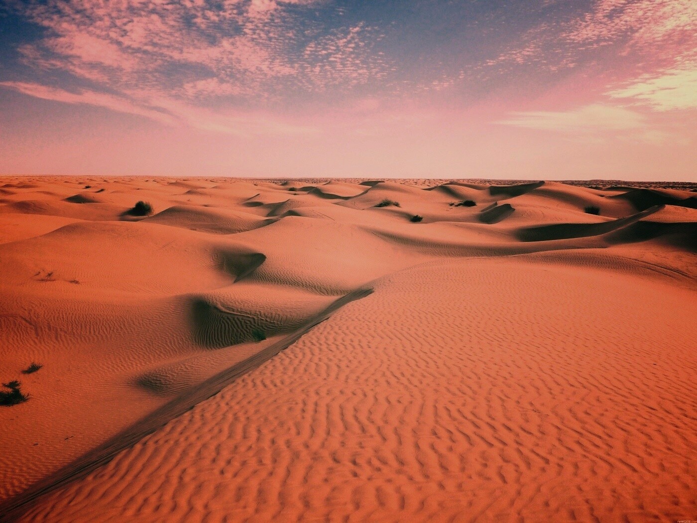 Пустыня до самого горизонта обои