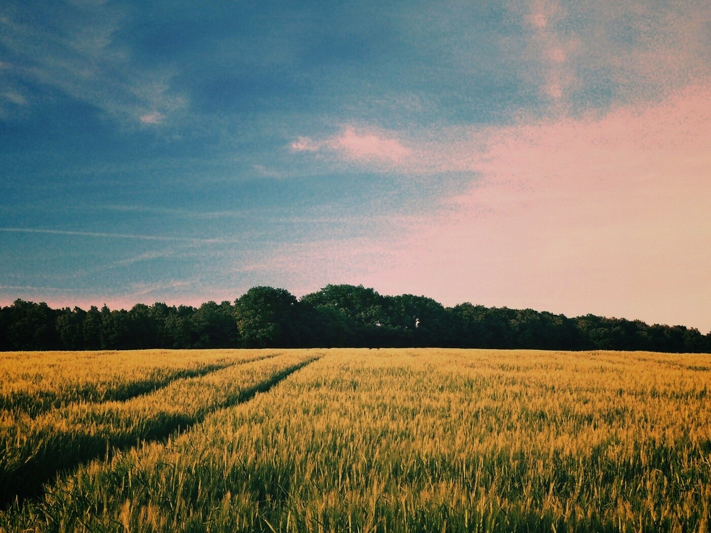 Следы колеи в поле обои