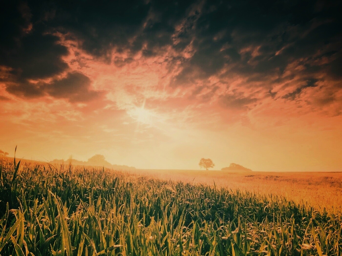 Безмятежность обои