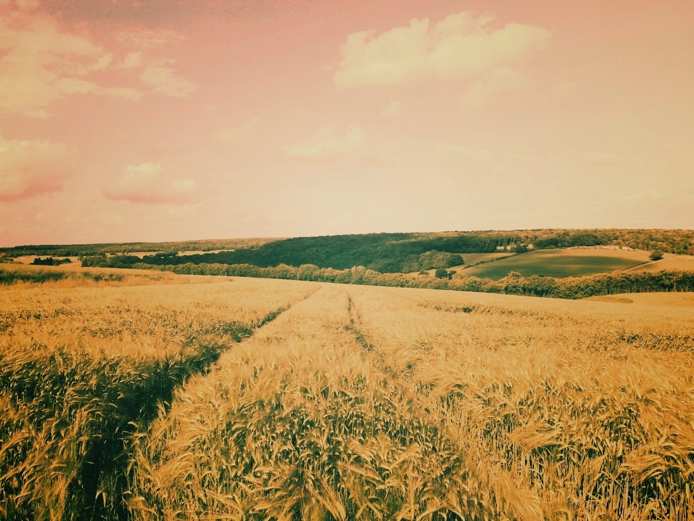 Бескрайние просторы обои