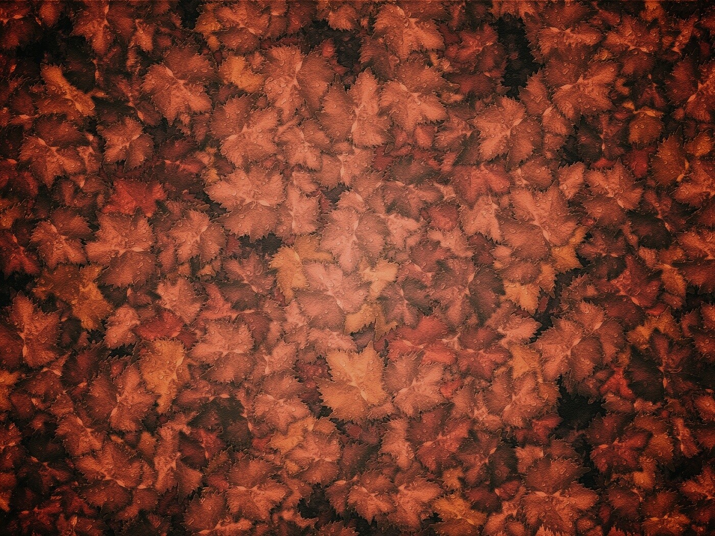 Осенние листья обои