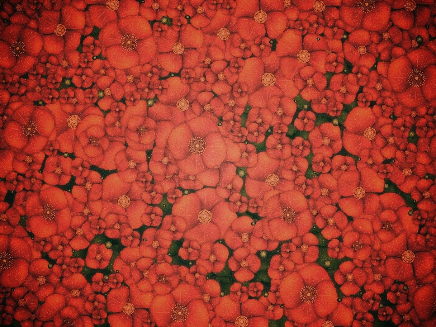 Рисунко с красными цветами обои