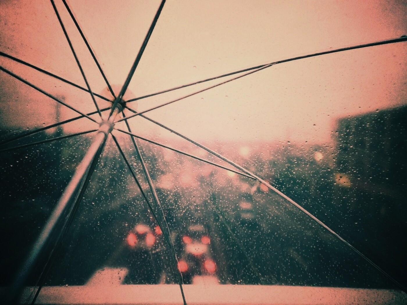 Вид сквозь прозрачный зонтик обои