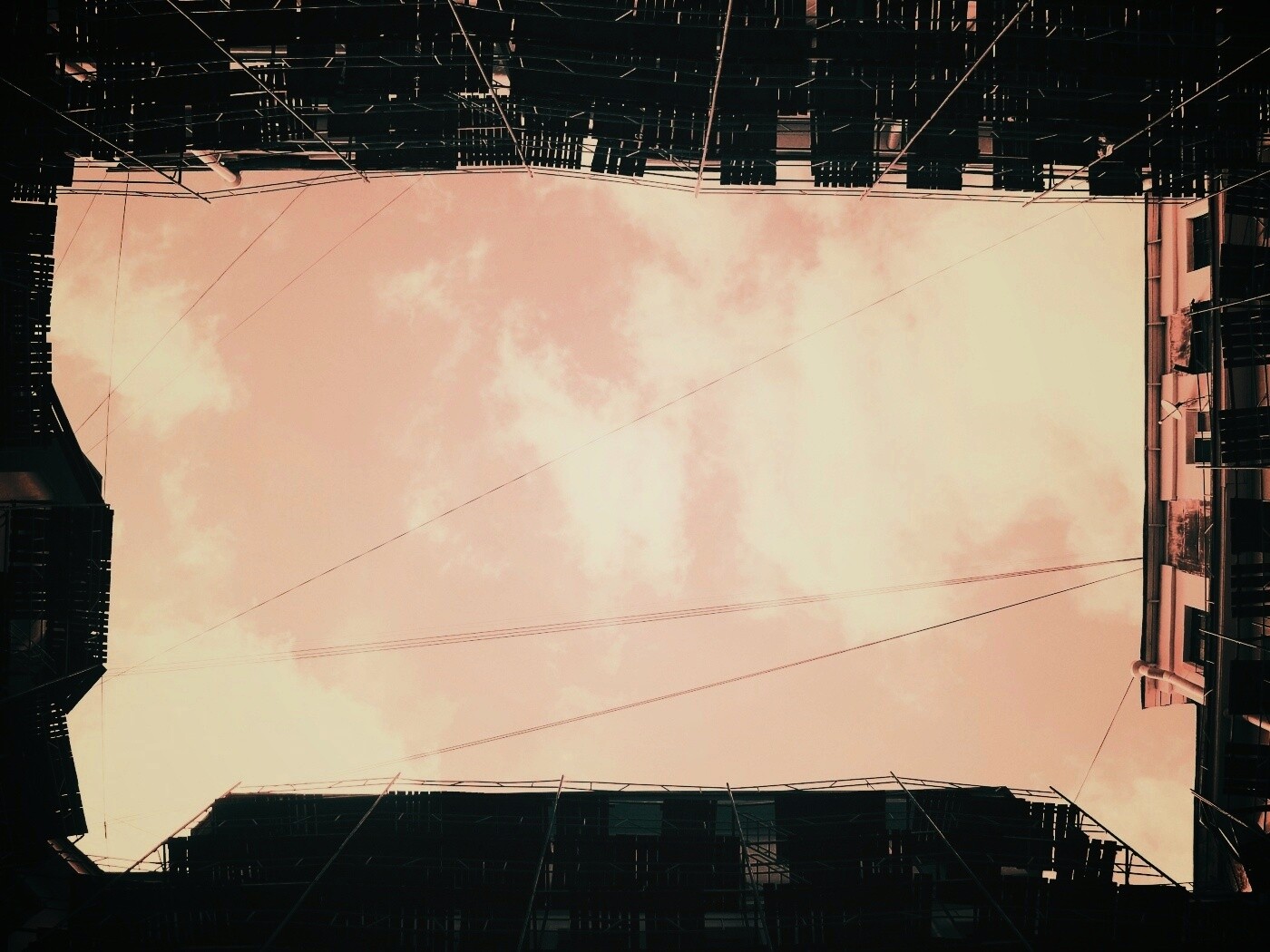 Человеческий муравейник обои