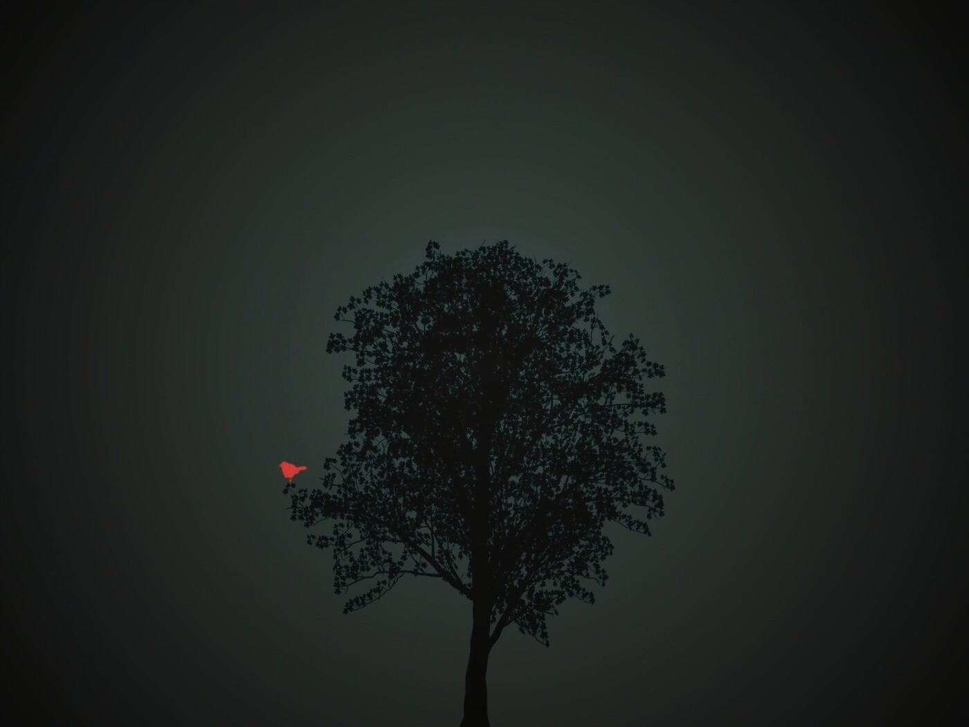 Дерево и птица обои