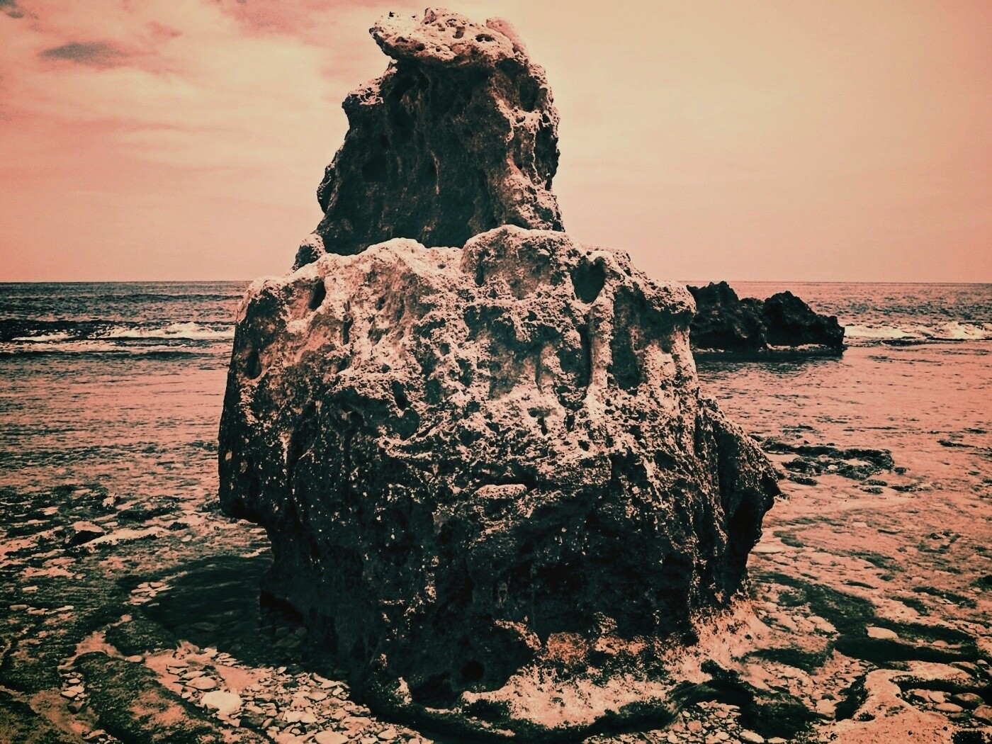 Коралловый риф обои