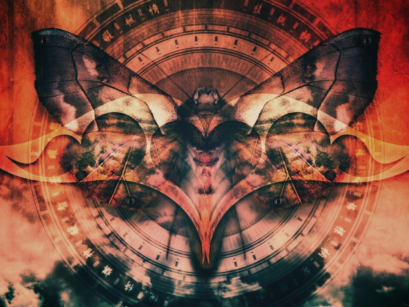 Красивая фэнтезийная бабочка обои