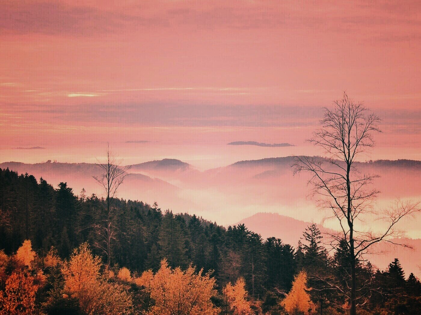 Холмы в тумане обои