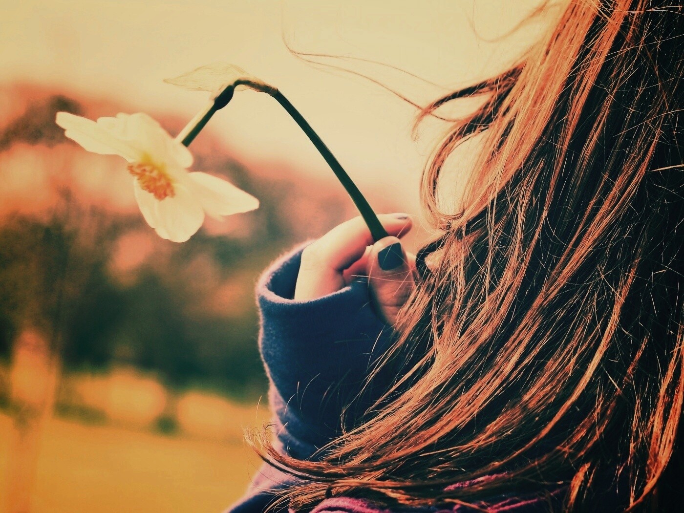 Девушка с нарциссом в руке обои