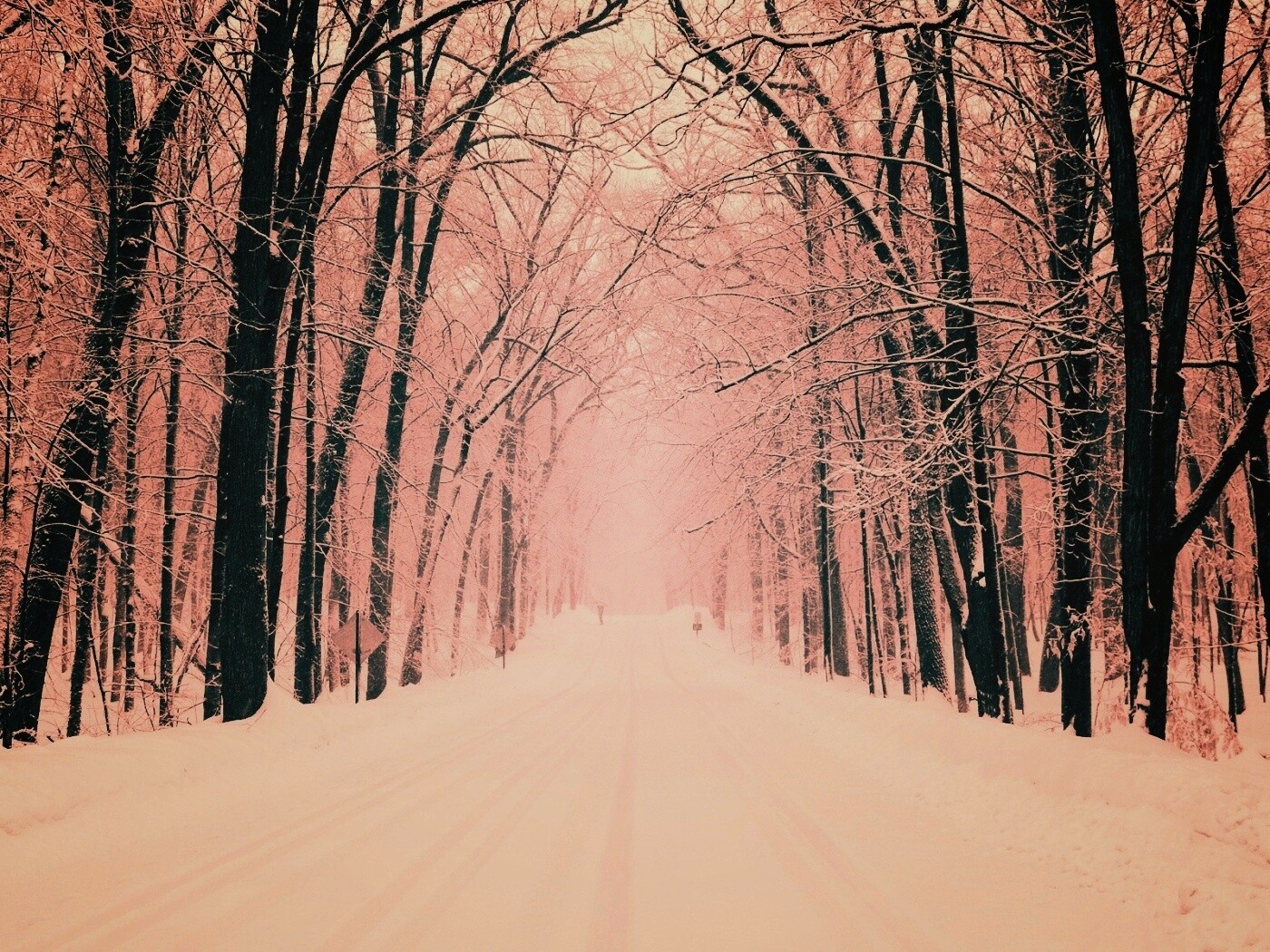 Дорога зимой в парке обои
