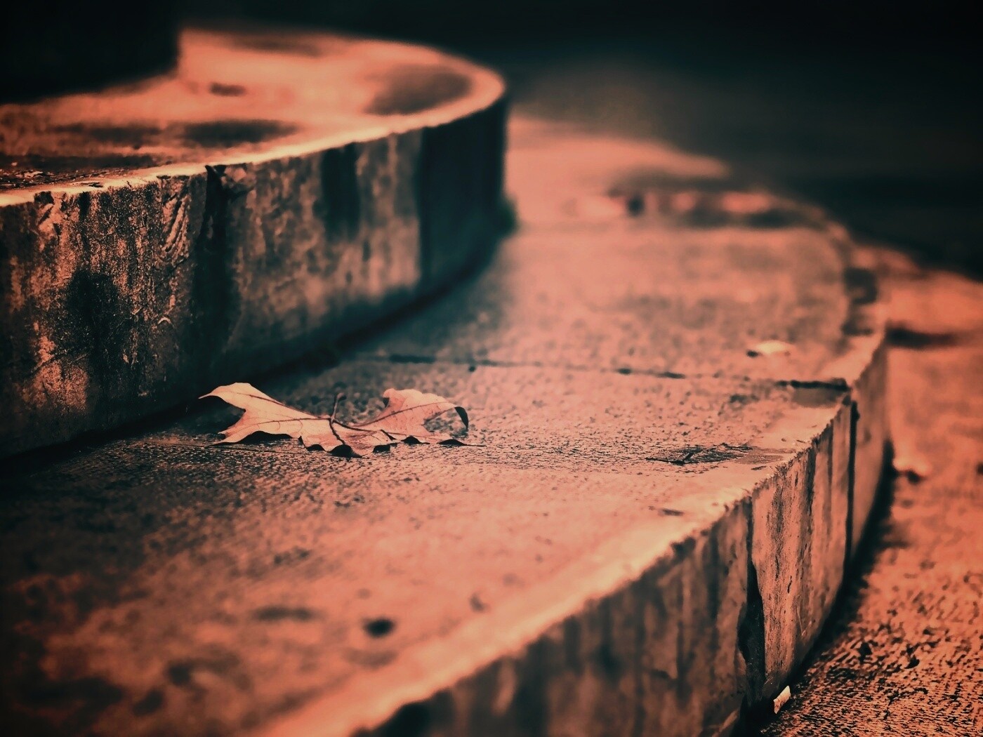 Лист на ступеньках обои