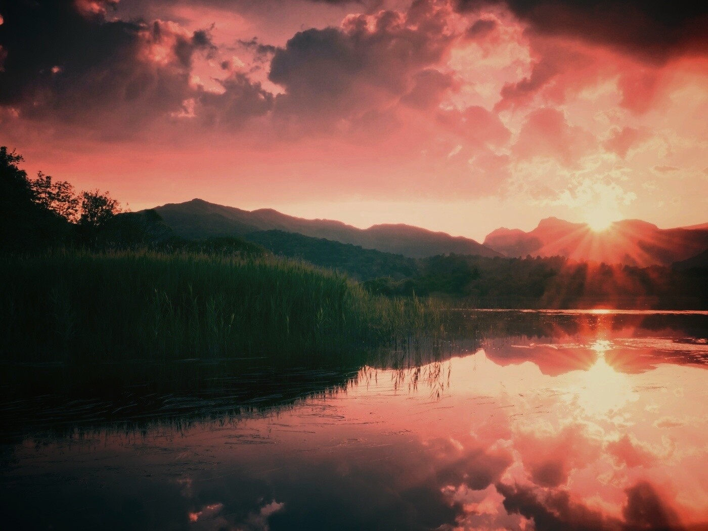 Закат за лесом обои