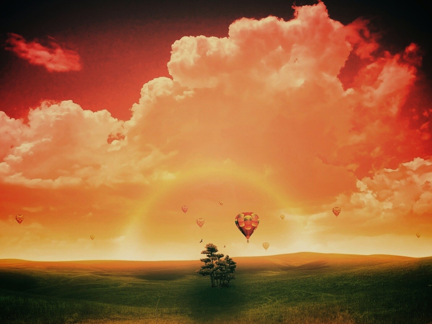 Мечты о полёте обои