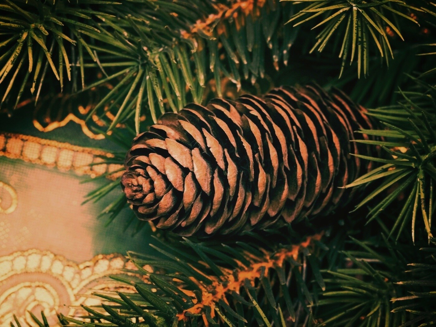 Шишка на елке обои