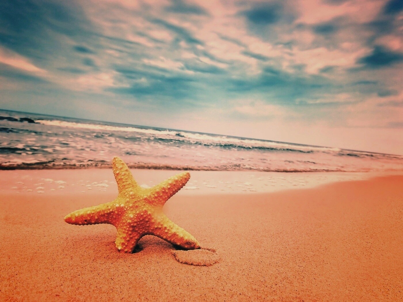 Морская звезда в песке обои