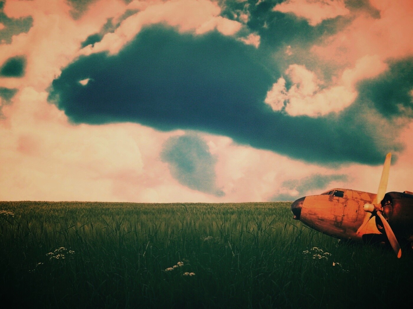 Старый ржавый самолет на лугу обои