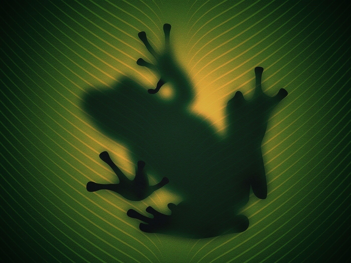 Силуэт лягушки просвечивает сквозь зеленый лист обои